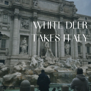 WHITE DEER TAKES ITALY