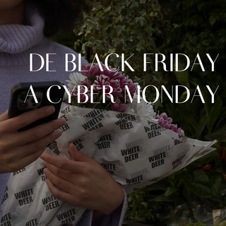 DE BLACK FRIDAY A CYBER MONDAY